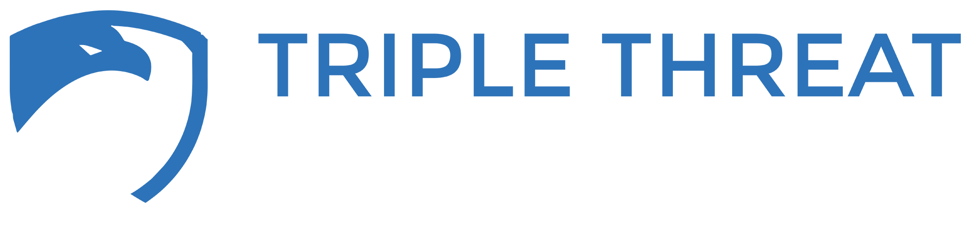 TRIPLE THREAT SECURITY